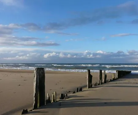 Beatrice Ver-sur-Mer